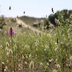 Villa Ba000-28c 3 Pièces - 5 Couchages