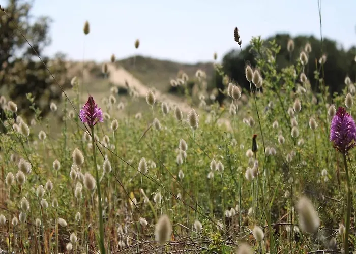 Villa Ba000-28c 3 Pièces - 5 Couchages
